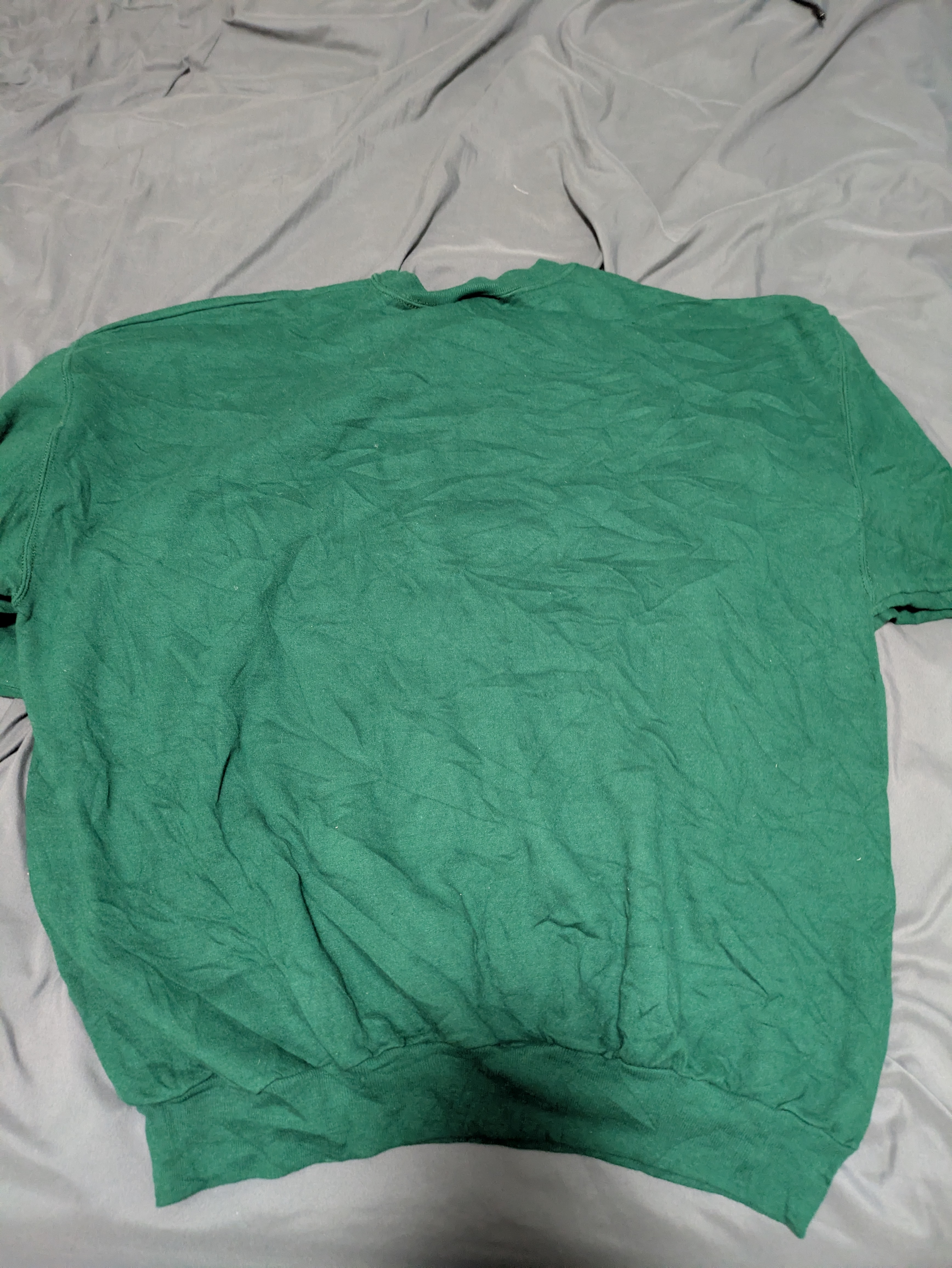 Hanes ComfortBlend Garden Inn Graphic Sweater Men's XL — 2. back